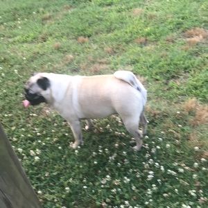 Meet your Posher, Jeromy